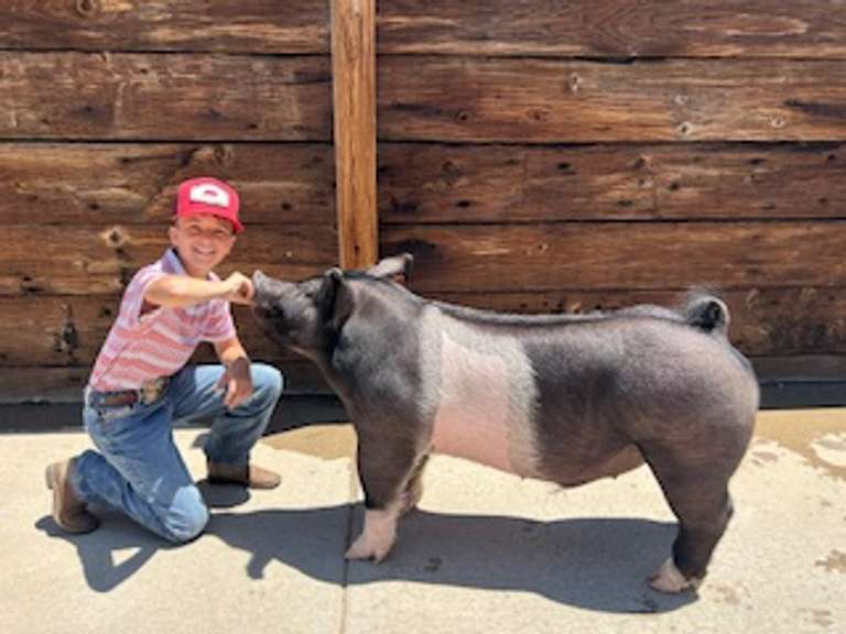 Ashtin  Sellers  Rural Rustlers