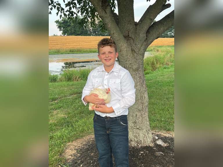 Blake McIntire The Beef Club