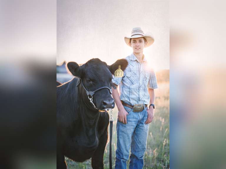 Liam  Anderson  Gold Creek 4H