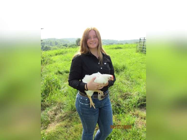 Penelope Mulheman East Township Young Producers