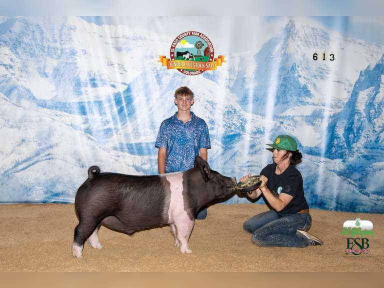 Brody   Burnside  Show Squad