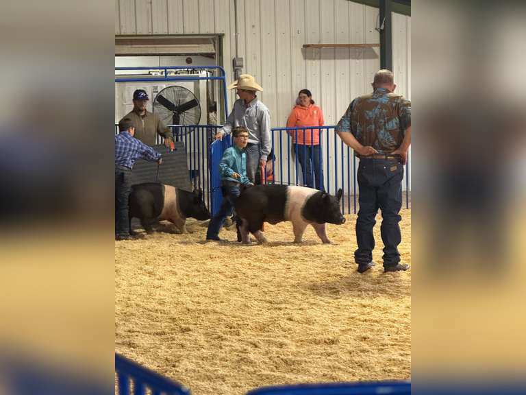 Landry  Becker  Triple C’s