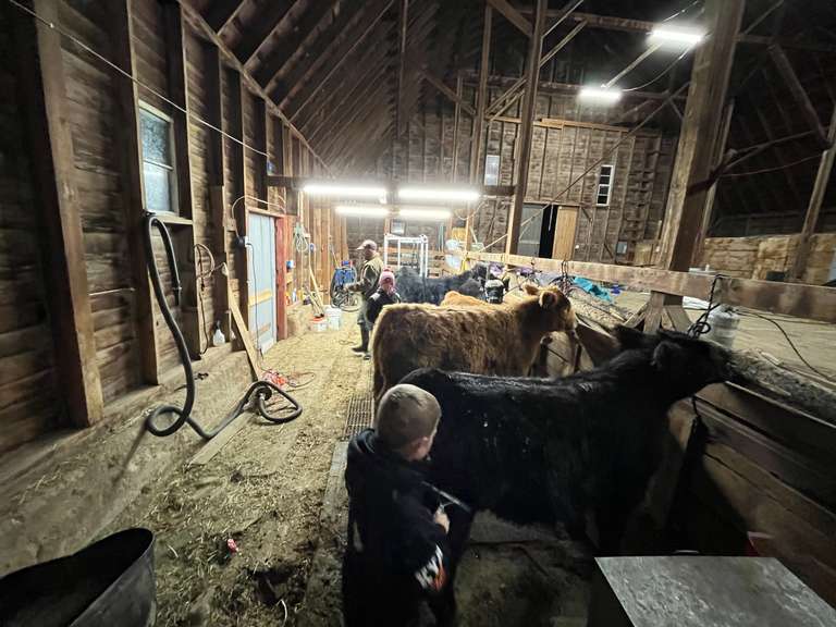 Case  Carnahan  Kiowa Community 4-H