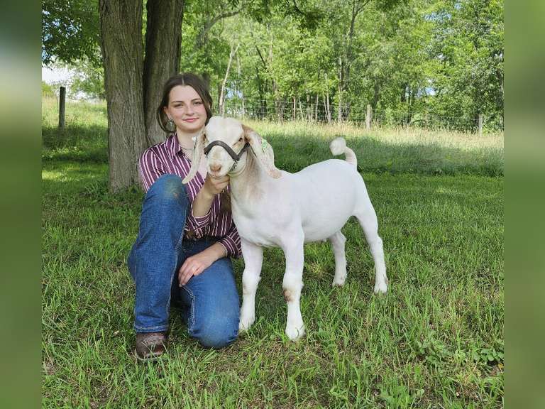 Malia Schaar Augusta Ranchers
