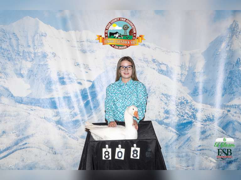 Abigail  Baca  Angel Fire 4-H