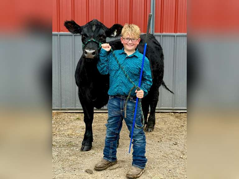 Baylor Buss Rowdy Wranglers