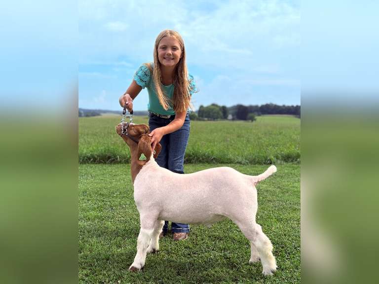 Kinsley Oyer East Township Young Producers