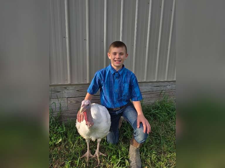 Austin Newsome Stillfork