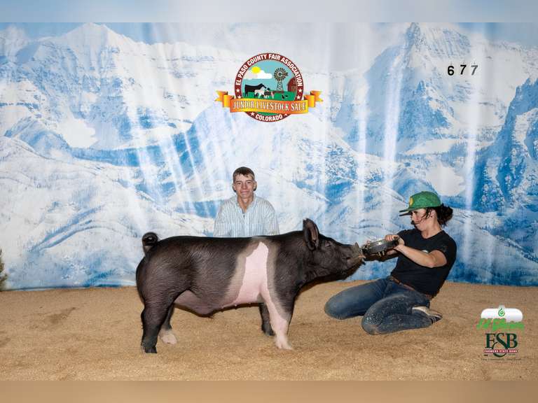 Cooper  Spurlock  Calhan Ranch Hands