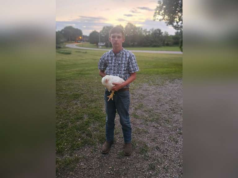 Lance Thompson The Beef Club
