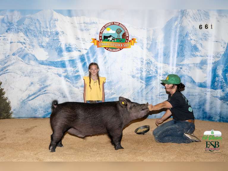 Carsyn  Laurence  Calhan Ranch Hands