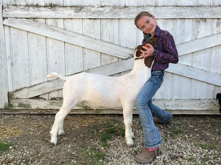 Claire Henry The Beef Club