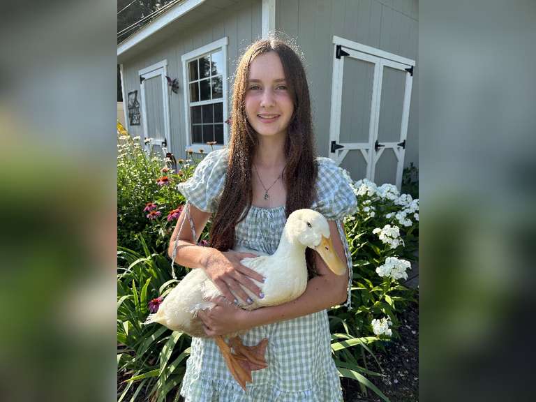 Elyse Zeedyk Farm Raisers