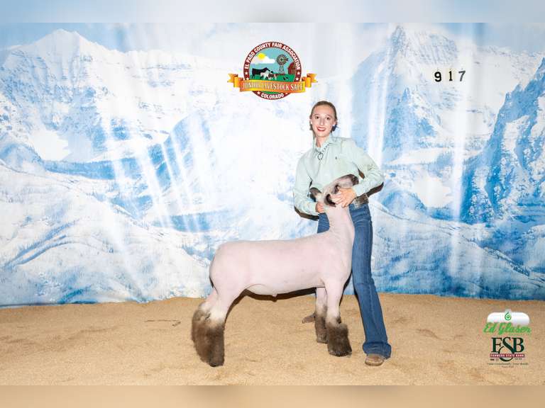 Lexi  Vrabec  Plainsmen 4-H Club