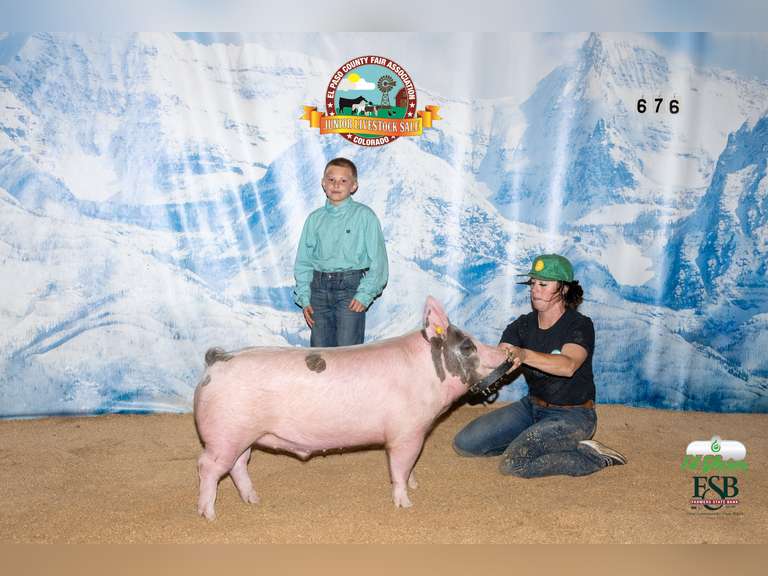 Colby   Simmons  Ramblin Wranglers