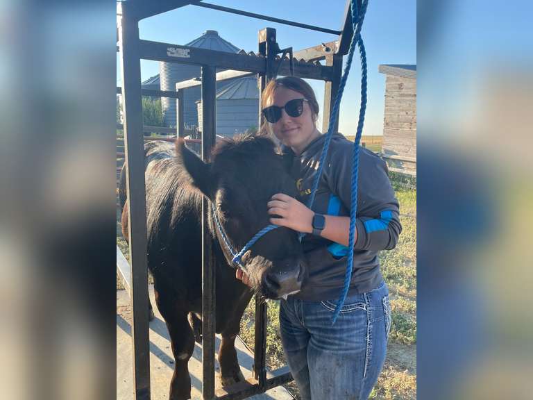 Lauren  Rector  Rural Rustlers 4-H Club