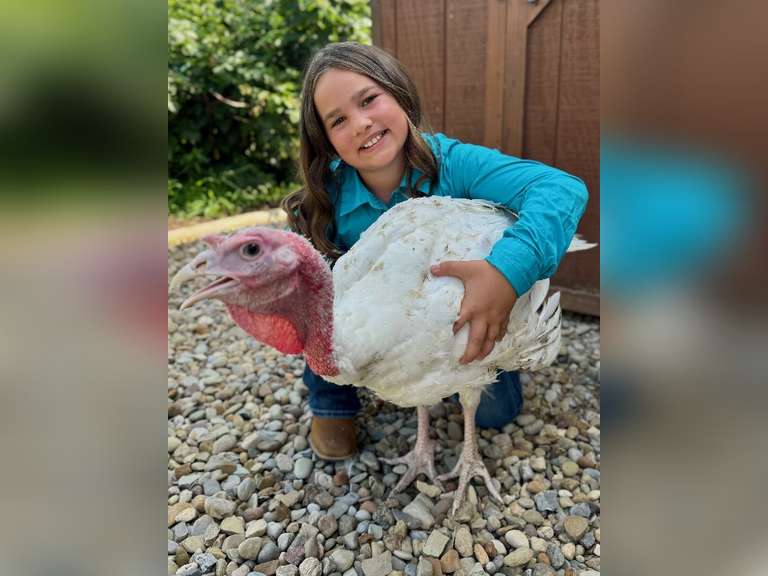 Quinn Fry East Township Young Producers