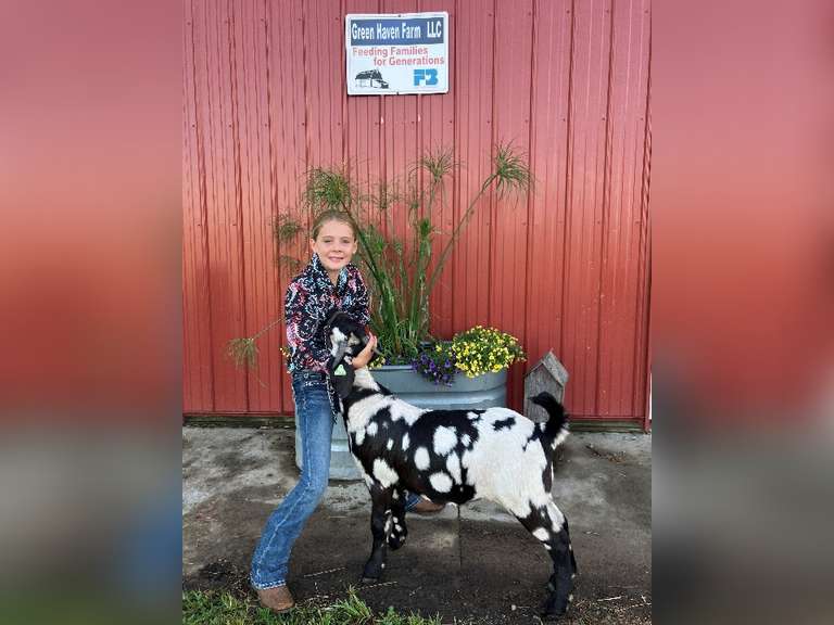 Hannah Lucas East Township Young Producers
