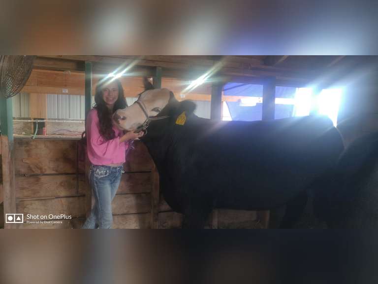 Jaliane   Gonzalez  Top Hands