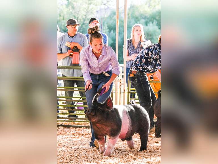 Berkley  Schneider  Kiowa Community 4H Club