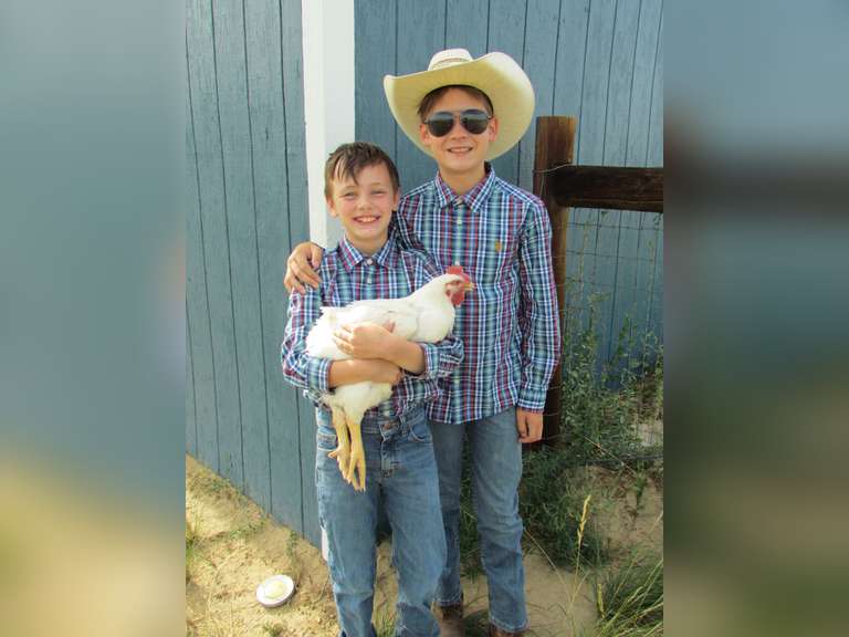 Corbin  Palmer  Sun Country 4H