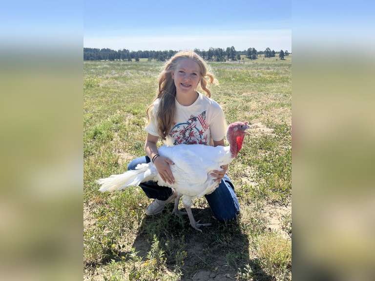 Lyla   Harris  Kiowa Community 4H Club