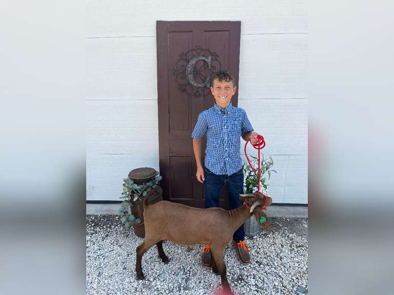 Colton Catlett Ribbon Chasers