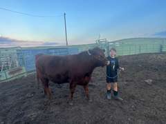 Jackson  Sedlak  Rural Rustlers