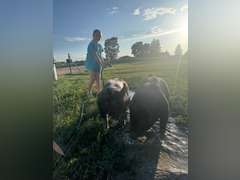 Anastasia   Lobdell   Calhan Ranch Hand