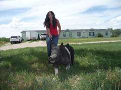 Kaylee  Wyer  Kiowa Community 4-H Club