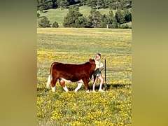 BRINLEY  WATTS  Kiowa Community 4H Club