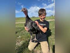 Casen  Corne  Ranchin' Rookies
