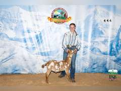 Autumn   Runkle  Ramblin Wranglers