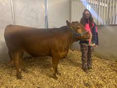 Katryna   Reitzig   Ranchin’ Rookies