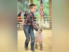 Michael  Lawson  Elbert Creekside