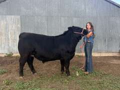 Hayden  Fox  Rural Rustlers
