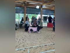 Amelia  Summers  Kiowa Community