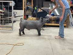 Carsyn  Laurence  Calhan Ranch Hands
