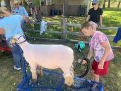 Michael  Lawson  Elbert Creekside