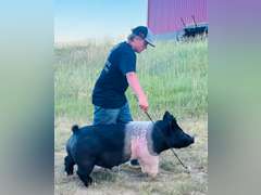 Dalton  Hudgins  Running Creek 4-H Club