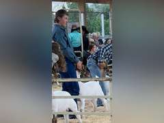 Stockton  Musgrove  Ranchin' Rookies