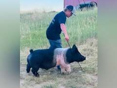 Dalton  Hudgins  Running Creek 4-H Club