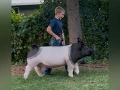Hilton  Smith  Kiowa Community 4-H Club