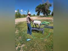 Landon  Offutt  Rural Rustlers 4h Club