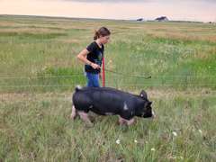 Bailey  Riniker  Kiowa Community 4H