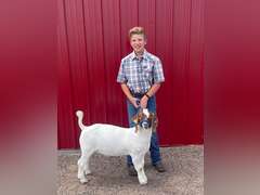 Liam  Hayes  Gold Creek 4H Club