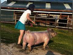 Lauralai   Brammer  Ranchin’ Rookies 4-H Club