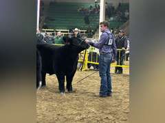 Troy  McWhorter  Ranchin Rookies 4H Club