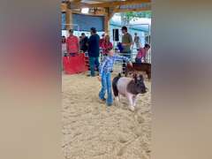 Ellie  Zwack  Ranchin' Rookies