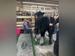 Troy  McWhorter  Ranchin Rookies 4H Club
